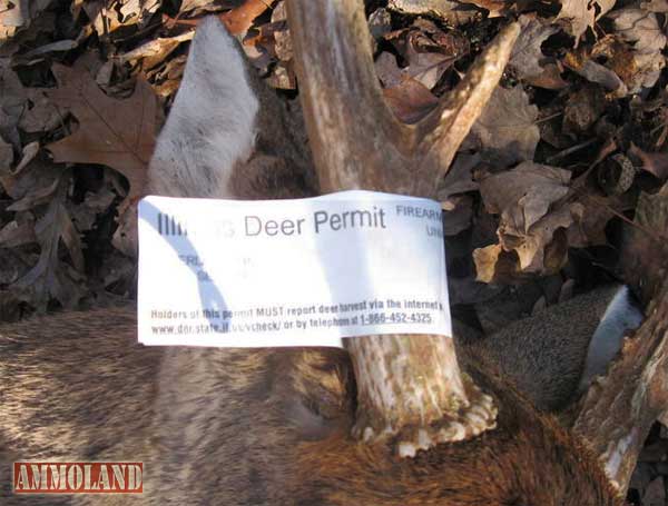 Deer Hunters – Tag Your Deer Properly