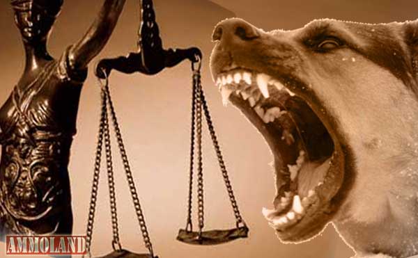 Help Put Teeth in Kentucky’s Firearms Preemption Law