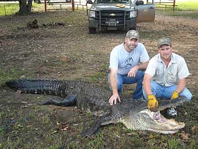 Arkansas Hunters End First Alligator Season Segment With State Record