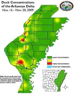 Arkansas-duck-map Arkansas Duck Concentration Maps