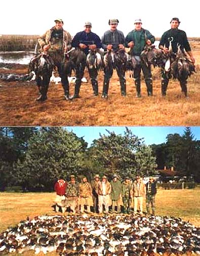 sportingd-waterfowl-hunting Argentina Duck Season Looking to Open Strong
