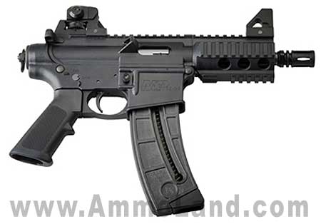 [Image: Smith-Wesson-MP15-22P-Semi-Automatic-Pistol.jpg]