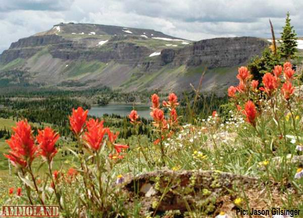 Colorado Roadless Lands