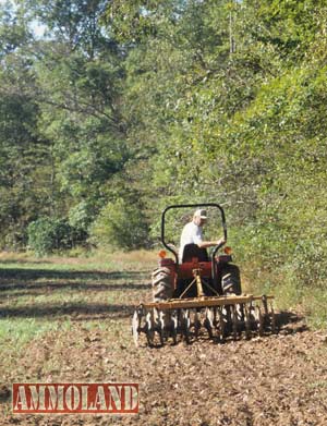 Plant warm season food plot crops