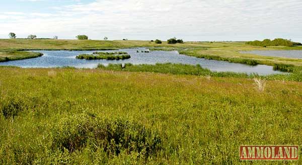 Conservation Reserve Program Property
