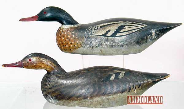 Red-breasted mergansers Decoys by A. E. Crowell