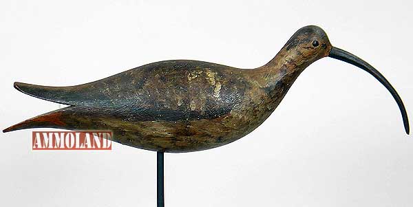 Sicklebill-curlew-decoy Sicklebill curlew Decoy