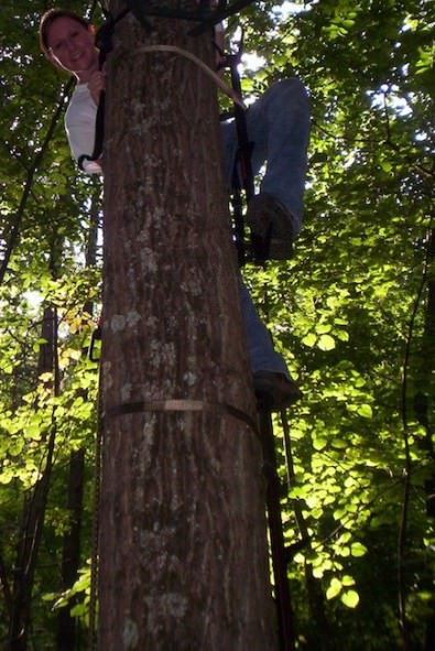 Lone Wolf Climbing Sticks Lone Wolf Climbing Sticks