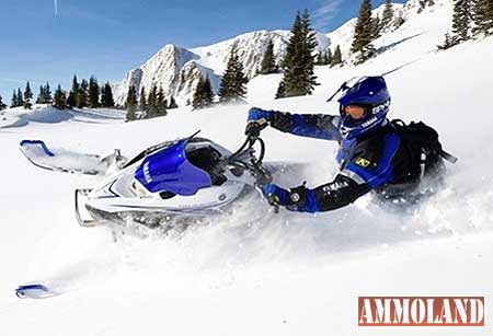 Winter Snowmobile Fun