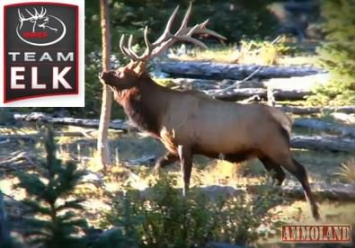 RMEF Team Elk RMEF Team Elk