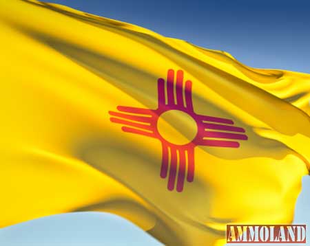 New Mexico Flag