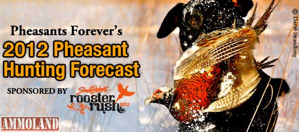 Pheasants-Forever-2012-Pheasant-Hunting-Forecast Pheasants Forever’s 2012 Pheasant Hunting Forecast