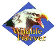 Wildlife Forever