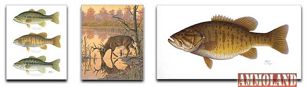 renowned-wildlife-artist-Rick-Hill renowned wildlife artist Rick Hill