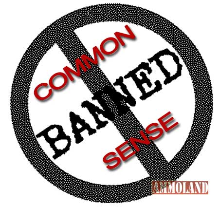 Ban Common Sense High Cap Magazine Ban Would Not Have Stopped 2007 Shooting