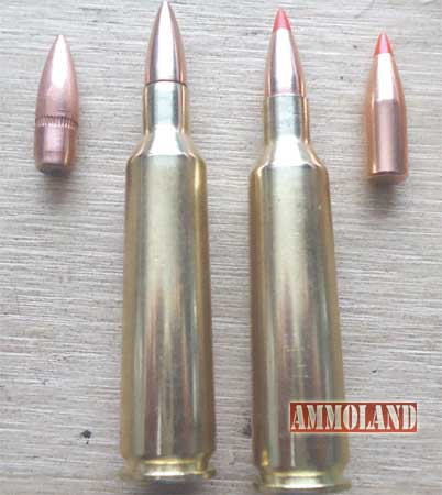 A couple of bullets used in test 55 gr FMJ L and 60 gr Hornady