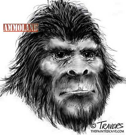 Bigfoot Headshot