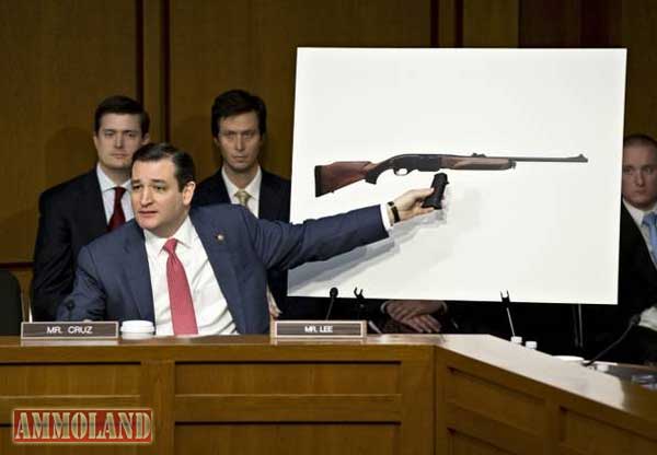 Senator Ted Cruz