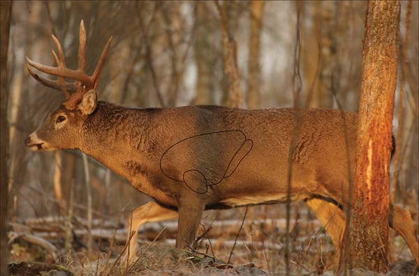 Late-Season Deer Hunting Opportunities Available in Ohio