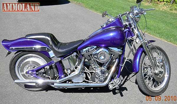 CCDL Softail Springer Motorcycle Raffel