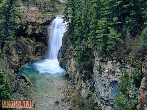 Lewis and Clark National Forest