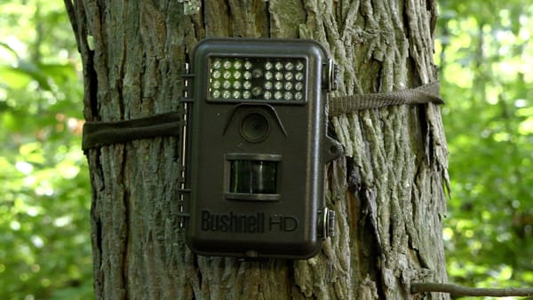Bushnell Trophy Cam HD Bushnell Trophy Cam HD