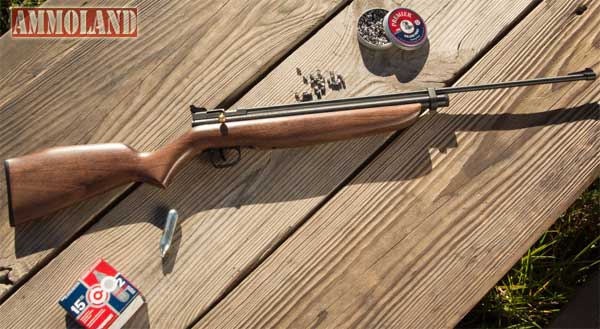 Crosman Custom Engraved Crosman Heritage 2260 Air Rifle Crosman Custom Engraved Crosman Heritage 2260 Air Rifle