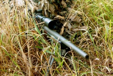Tactical Rifles, my view from behind the stock.
