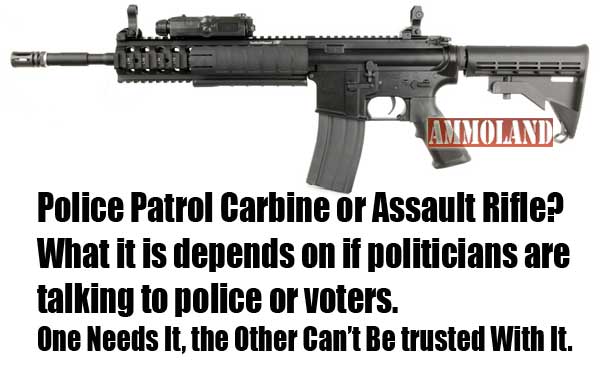 Police Patrol Carbine or Assault Rifle