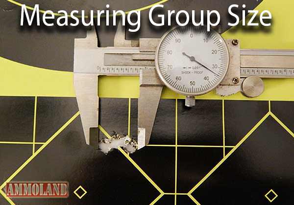 Measuring Group Size