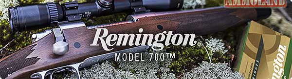 Remington Model 700 Rifle