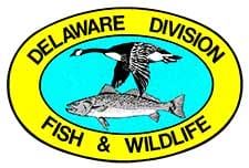 Delaware Division of Fish & Wildlife