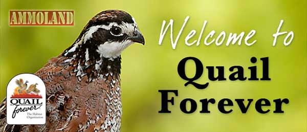 Quail Forever Welcomes New Chapter