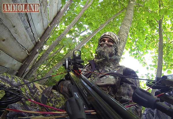 Doug Koenig Championship Season Hunting Maine Black Bear