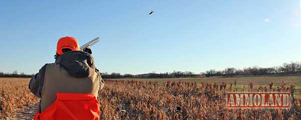 Youth Upland Hunt