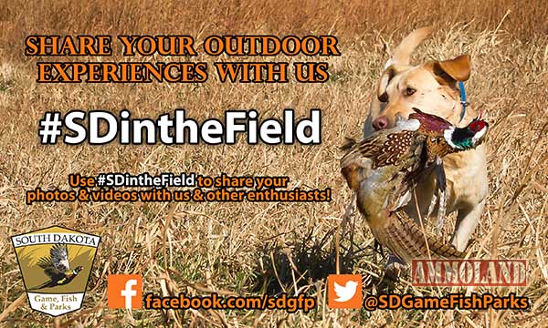 #SDintheField