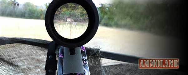 Kansas Firearms Deer Hunting Season to Open Soon