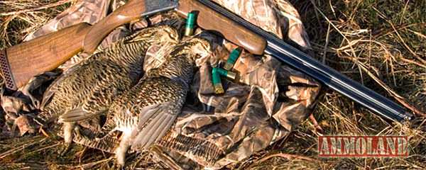 Kansas Prairie Chicken Hunting Season