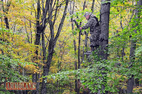 Tree stand safety is a major part of the West Virginia DNR's Hunter Education course.