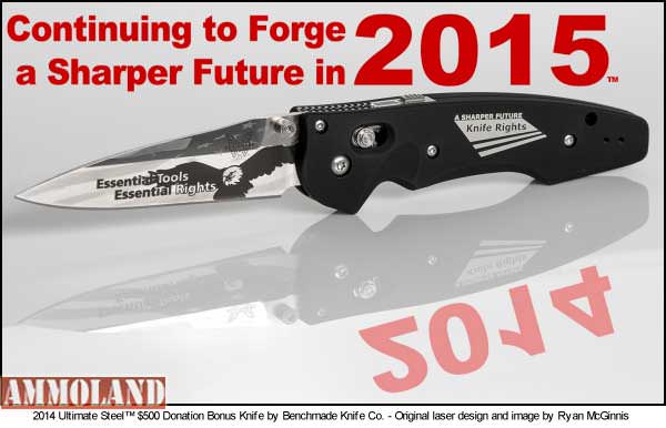 Forge a Sharper Future in 2015