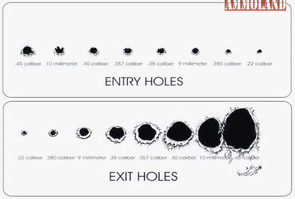 glock 20 calibre 10 Ammo-Entry-and-Exit-Holes