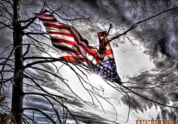 American Flag in Distress