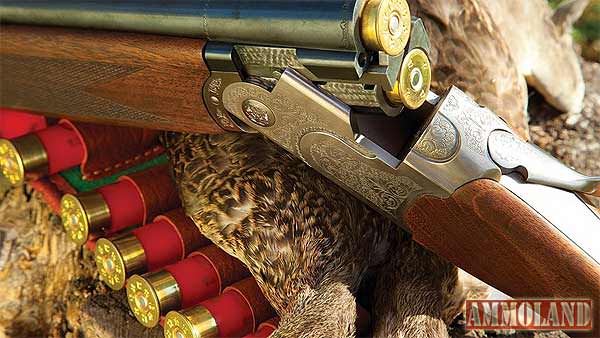 Hunting Shotgun Shot Shells Feathers