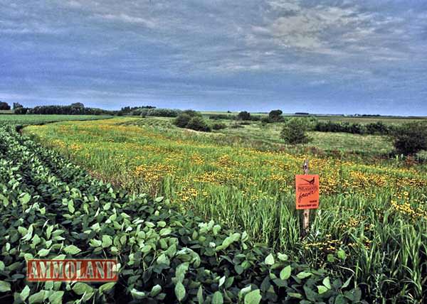 Water Quality, Agriculture & Wildlife Special Session