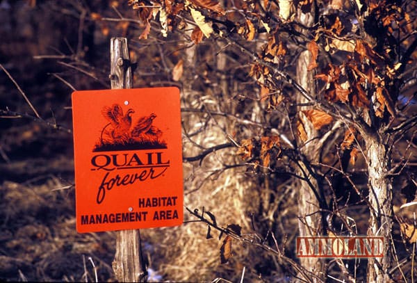 Quail Forever Habitat Management Area