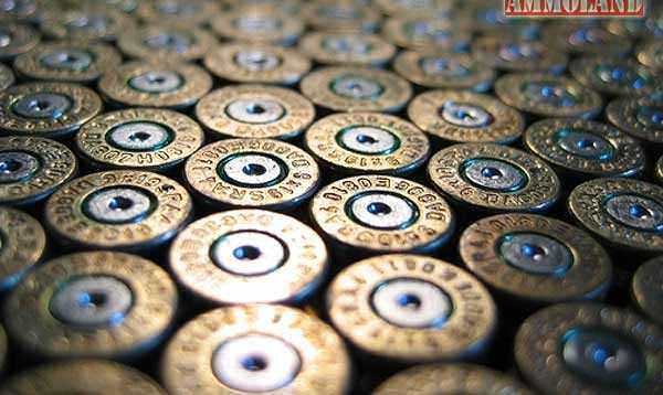 Shotgun Shells