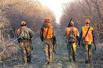 Voice your comments on proposed 2015-16 hunting season regulations