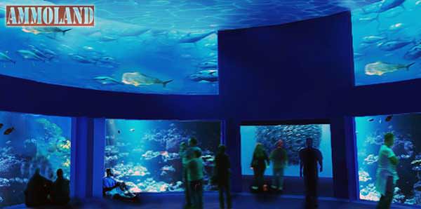 America's Wildlife Museum & Aquarium