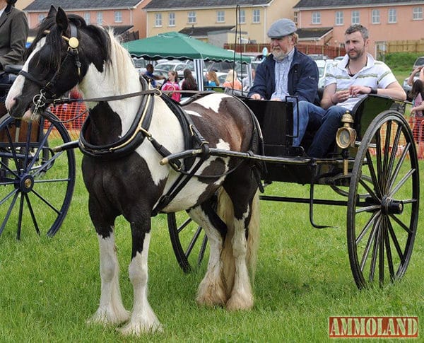 Blackwater Carriage DC Charity Event