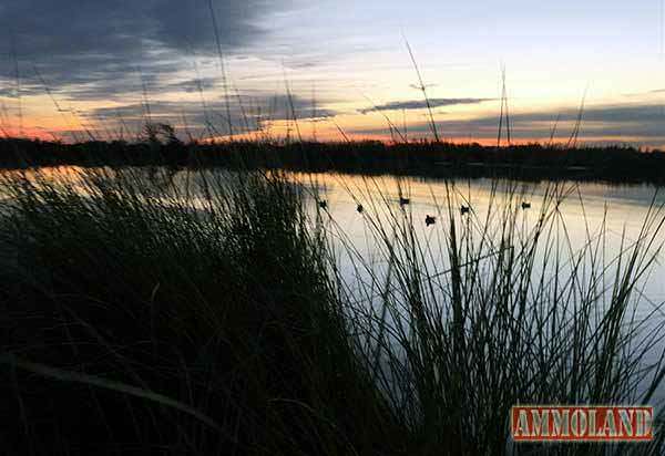 Coastal Wetlands Loss Costly and Continuing